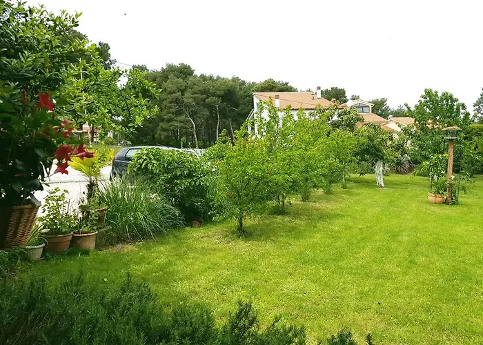 Greenhill * Pula